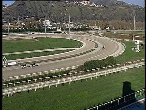 Trotto 11/11/2018 - 2ª prova di qualifica