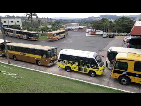 Ônibus escolares na rodoviária de Duartina, interior do estado de São Paulo. #ônibus #busologia