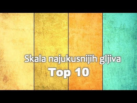 Skala najukusnijih gljiva - Top 15