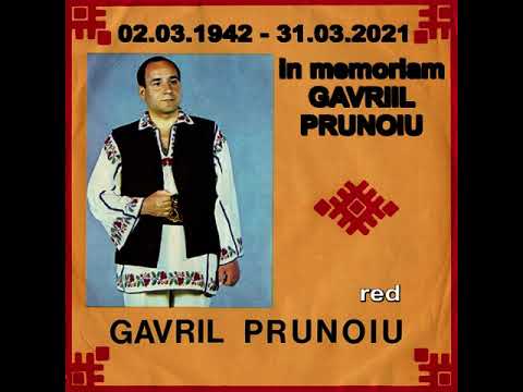 In memoriam - GAVRIIL PRUNOIU