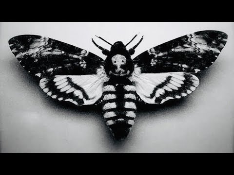 GREENCYDE - Dark Heart