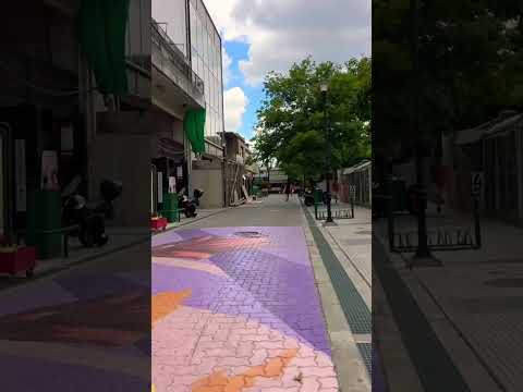 Es viernes y nos pusimos a caminar un poco por la peatonal de #ituzaingo #walking #shorts #tour