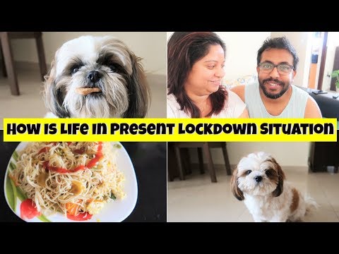 How Is Life In Present Lockdown Situation | Our Morning To Night Routine In Lockdown Video