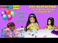 DOC MCSTUFFINS TOY HOSPITAL ON CALL ACCESSORY SET Balloon Surprises Fun Toys And Games