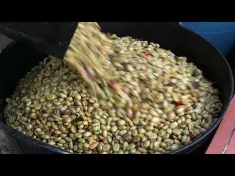 FINCA LAS PALMAS CAÑASGORDAS ANTIOQUIA