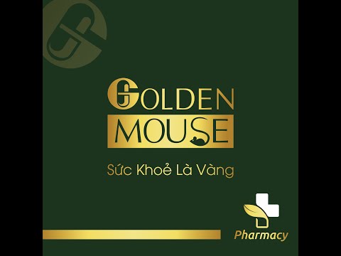 “Khám phá Golden Mouse – nơi sứ mệnh, mục tiêu và trải nghiệm Khách hàng hòa làm một.” 