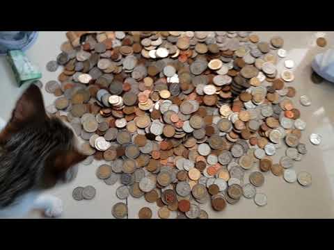 Opening Arnies money bin !