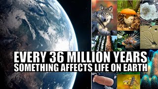 Download Lagu Evidence For a 36 Million Year Long Cycle Affecting Biodiversity Thumbnail
