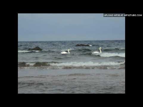 Венко Серафимов - Ако Љубиш Дукати