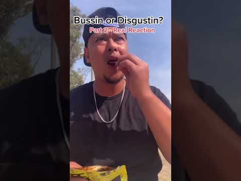 One chip challenge - part 2 real reaction