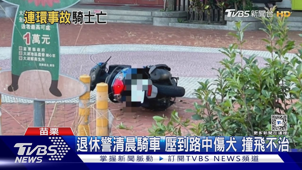 退休警清晨騎車 壓到路中傷犬 撞飛不治