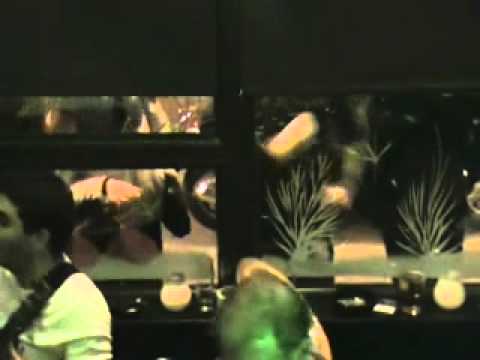 SOULBEEK - Ain't too proud to beg