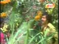 Nalini Hot Rain Song