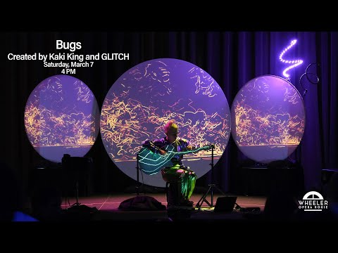 BUGS Created by Kaki King and GLITCH
