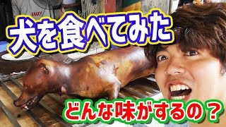 【閲覧注意】ベトナムで犬の肉を食べてみた  I ate dog meat...