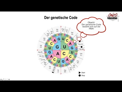 Genetische Grundlagen - Genetischer Code und PBS