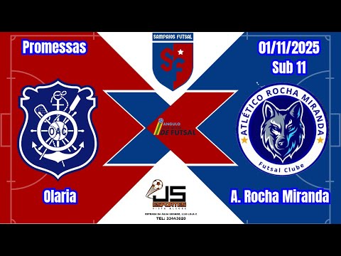 SUB 11 - OLARIA X A. ROCHA MIRANDA