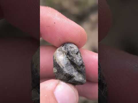 Mały ale ładny :) #fossil #kamyczki #kamienie #minerał #rockhounding