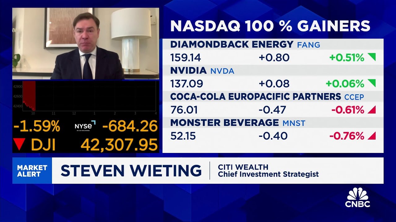 Citi Wealth's Steve Wieting: 2025 will be decent but time to diversify