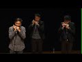 Harmonica Cover -  FireFly
