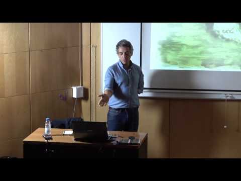 Ciclo das Artes Visuais: Paulo Brighenti