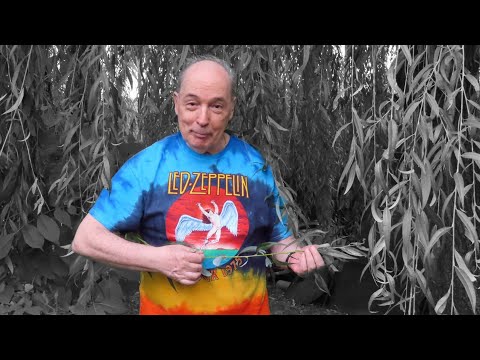 Foc de P.A.E. cu Andrei Partoș -  - episodul 659. Invitat: Adrian Vascu (1.10.2022)