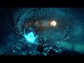 Seefeel - Charlotte's Mouth (fan video montage)