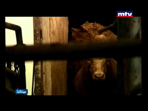 Baynetna 14/05/2012 - Simon El Haber