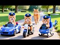 Mama Cat Trims Fur On The Farm And Makes Tiger Hat For Kittens At Home