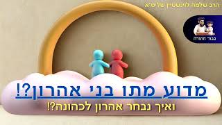 מדוע מתו בני אהרון⁉ הרב שלמה לוינשטיין שליט''א (פרשת שמיני) (הרב שלמה לוינשטיין) - התמונה מוצגת ישירות מתוך אתר האינטרנט יוטיוב. זכויות היוצרים בתמונה שייכות ליוצרה. קישור קרדיט למקור התוכן נמצא בתוך דף הסרטון מדוע מתו בני אהרון⁉ הרב שלמה לוינשטיין שליט''א (פרשת שמיני) (הרב שלמה לוינשטיין) - התמונה מוצגת ישירות מתוך אתר האינטרנט יוטיוב. זכויות היוצרים בתמונה שייכות ליוצרה. קישור קרדיט למקור התוכן נמצא בתוך דף הסרטון