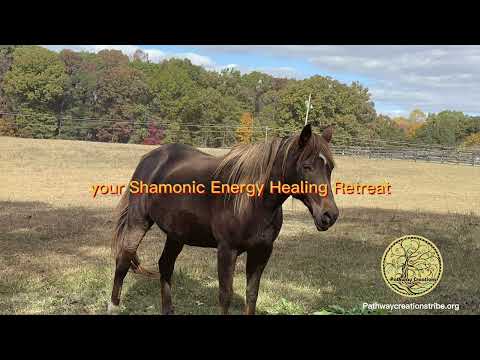 Shamanic Energy Healing Retreat