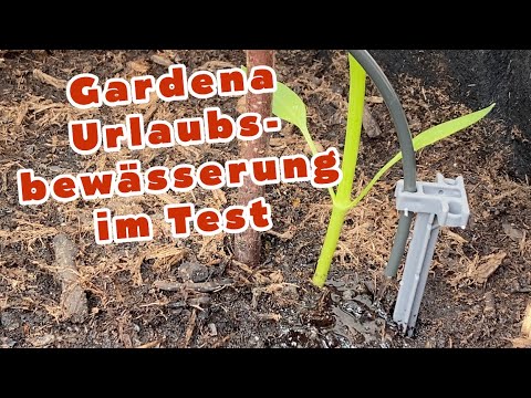 Gardena city gardening Urlaubsbewässerung für den BALKON | Wir testen die automatische Bewässerung!
