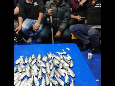 Turbocu Fevzi ustam ve Arkadaşlarının Çinekop avı Video