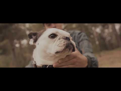 Hello Blue - Concorde (Official Video)