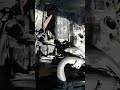 Reproduce el video