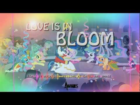 Aviators - Love is in Bloom Remix (Feat. Yelling At Cats and Hmage)