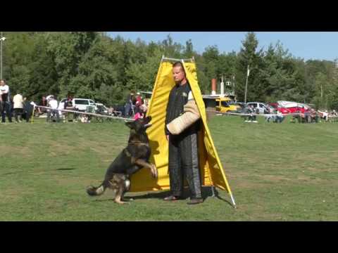 MM MSKS Zbraslav 2018 - Kalliontzis Christos - Grantt z Duhového lesa - obrana/defense