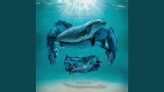 A Cold Dark Matter (Live At Memorial Hall, Allentown, Pennsylvania/1988)