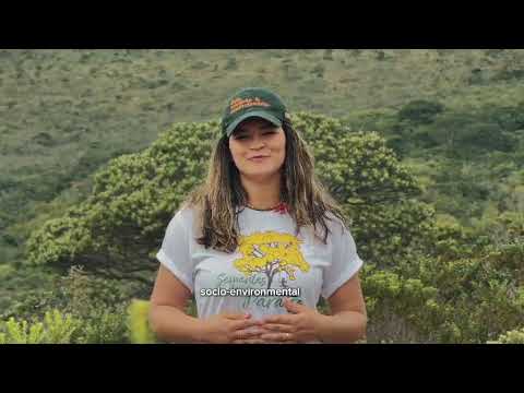 Sementes do Paraíso | Shell LiveWire Impact Makers 2026 Application