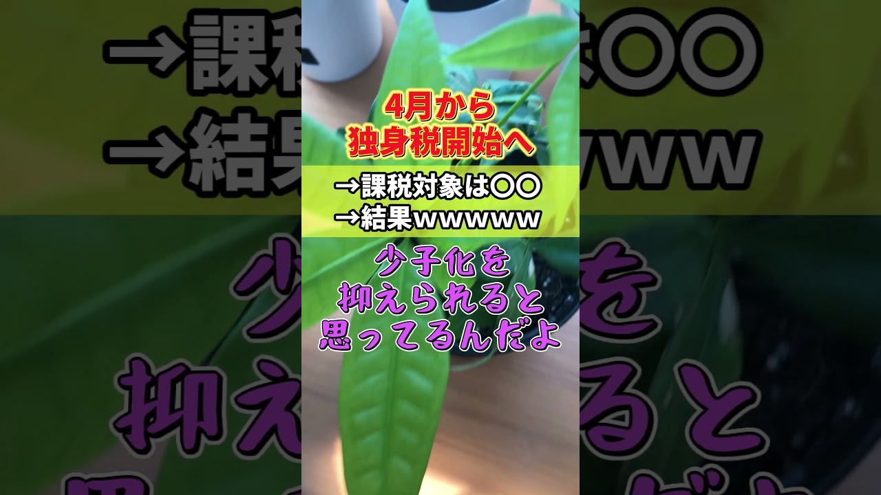 ４月から独身税開始へ→少子化が加速すると批判殺到！！　#shorts
