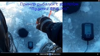 Ловля леща на вяче