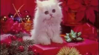 There&#39;s No Christmas Like a Home Christmas by Perry Como