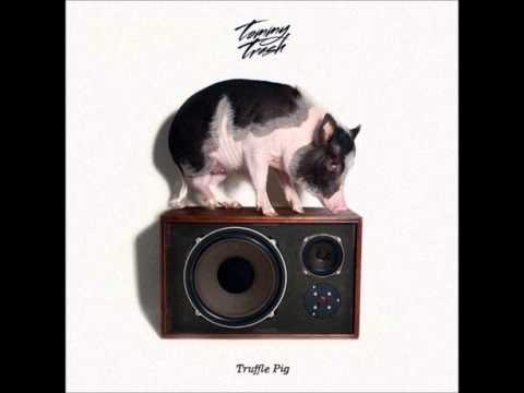 Tommy Trash vs. J&SS vs. TJR vs. Cirez D - Truffle Oi Off Pig (Pretty-D MashUp)