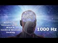 POWERFUL 1000 Hz Frequency | Heal Your Brain & Cerebral Neurons | Restore Full Immune System | Detox