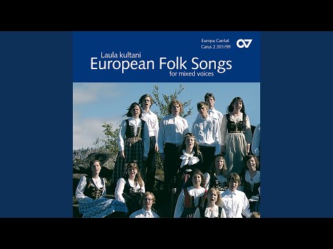 Jeg gik mig du en sommerdag