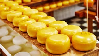 How Cheddar Cheese is Made🧀Delicious & Amazing Process of Making Cheddar Cheese