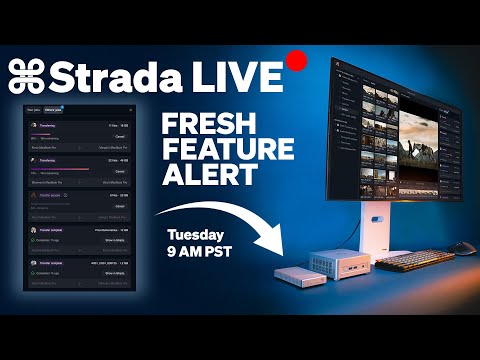 STRADA LIVE: FRESH NEW FEATURE!
