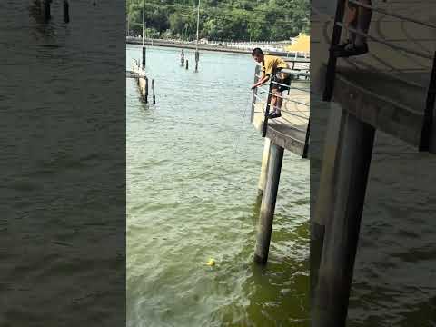 Alamak! Bola jatuh masuk ke laut!