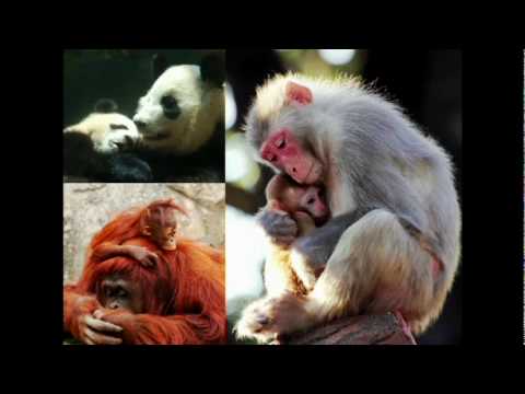 TED】オマール・アフマドペンと紙で政治を変える (オマール・アフマド：ペンと紙で政治を変える) (【TED】Omar Ahmad: Political change with pen and paper (Omar Ahmad: Political change with pen and paper))