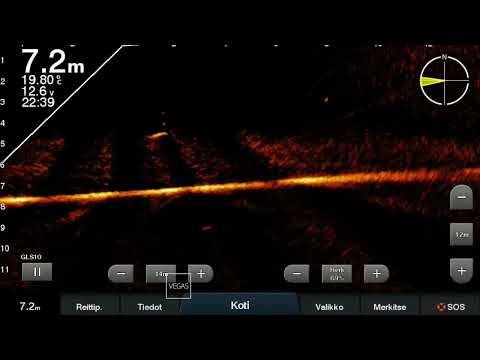 Garmin lvs 32 livescope ~ 90 cm pike